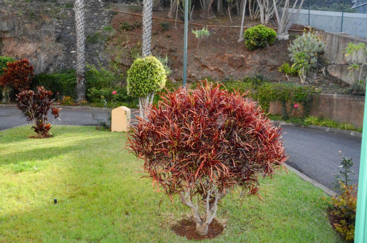 Appartement Vista Formosa Funchal Extérieur photo